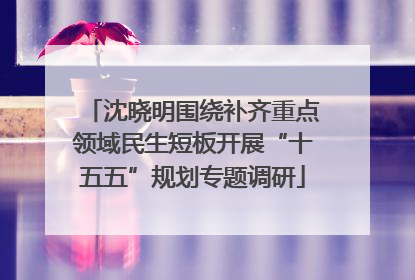 沈晓明围绕补齐重点领域民生短板开展“十五五”规划专题调研