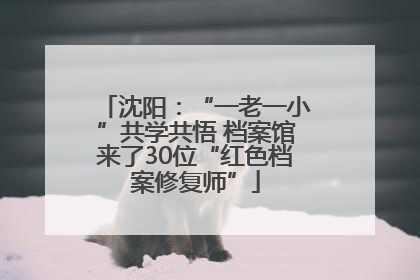 沈阳：“一老一小”共学共悟 档案馆来了30位“红色档案修复师”