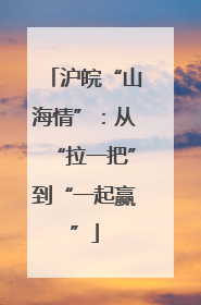 沪皖“山海情”：从“拉一把”到“一起赢”