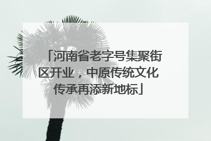 河南省老字号集聚街区开业，中原传统文化传承再添新地标