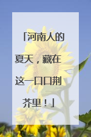 河南人的夏天，藏在这一口口荆芥里！
