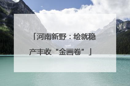 河南新野：绘就稳产丰收“金画卷”