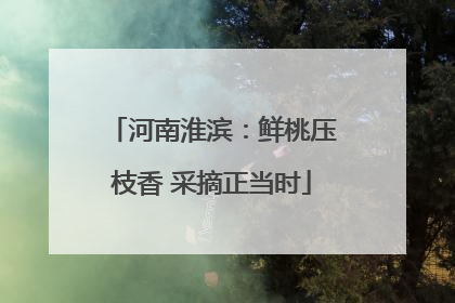 河南淮滨：鲜桃压枝香 采摘正当时