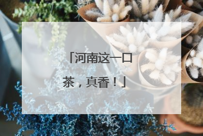 河南这一口茶，真香！