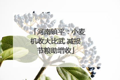 河南镇平：小麦机收大比武 减损节粮助增收