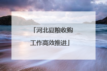 河北夏粮收购工作高效推进