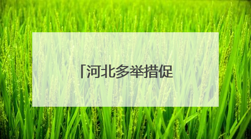 河北多举措促高校毕业生高质量充分就业