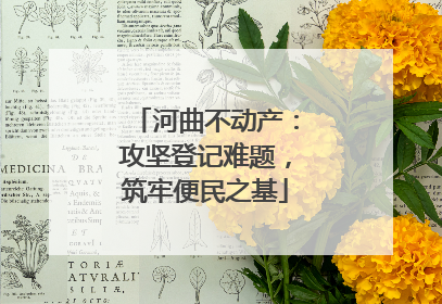 河曲不动产：攻坚登记难题，筑牢便民之基