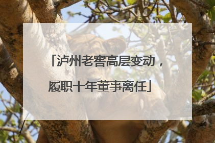 泸州老窖高层变动，履职十年董事离任