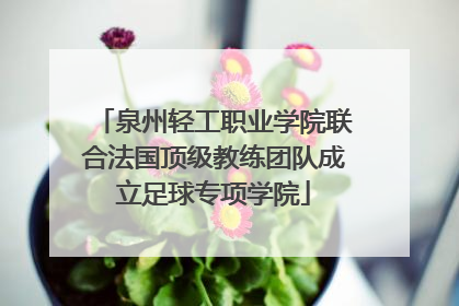 泉州轻工职业学院联合法国顶级教练团队成立足球专项学院