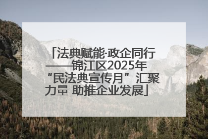 法典赋能·政企同行——锦江区2025年“民法典宣传月”汇聚力量 助推企业发展