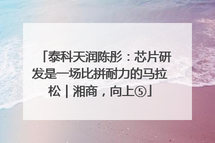 泰科天润陈彤：芯片研发是一场比拼耐力的马拉松｜湘商，向上⑤