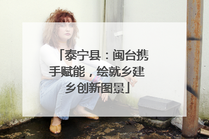 泰宁县：闽台携手赋能，绘就乡建乡创新图景