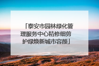 泰安市园林绿化管理服务中心精修细剪护绿焕新城市容颜