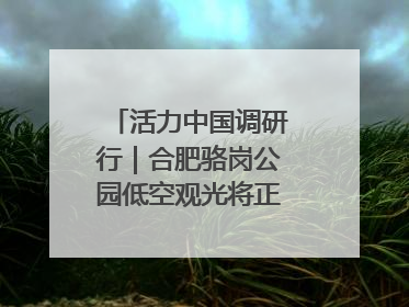 活力中国调研行｜合肥骆岗公园低空观光将正式商业运营