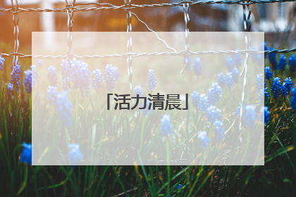 活力清晨