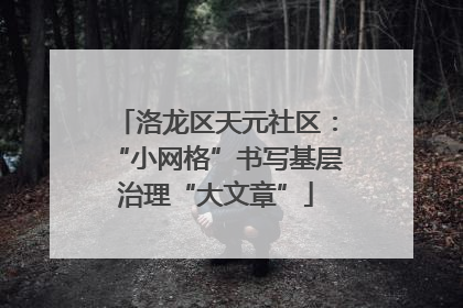 洛龙区天元社区：“小网格”书写基层治理“大文章”