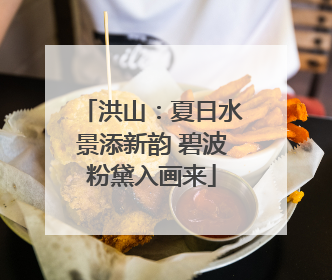 洪山：夏日水景添新韵 碧波粉黛入画来