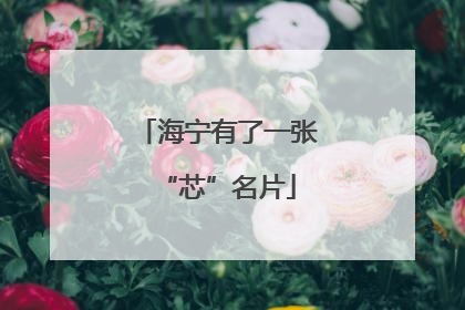 海宁有了一张“芯”名片
