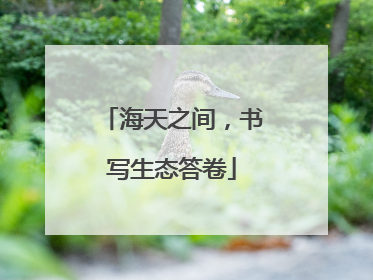 海天之间，书写生态答卷
