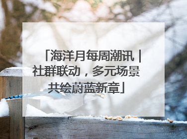 海洋月每周潮讯｜社群联动，多元场景共绘蔚蓝新章