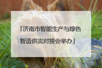 济南市智能生产与绿色智造供需对接会举办