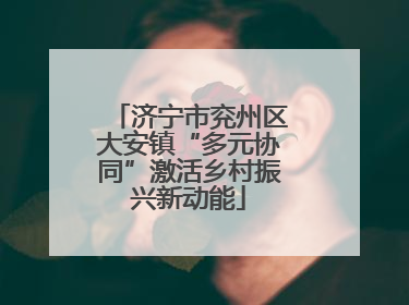 济宁市兖州区大安镇“多元协同”激活乡村振兴新动能