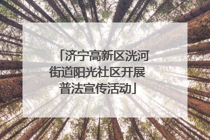 济宁高新区洸河街道阳光社区开展普法宣传活动