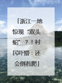 浙江一地惊现“双头蛇”？！村民吓懵：还会倒着爬