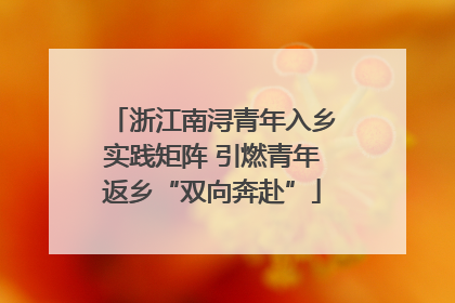 浙江南浔青年入乡实践矩阵 引燃青年返乡“双向奔赴”
