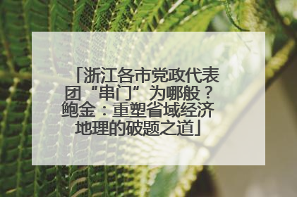 浙江各市党政代表团“串门”为哪般？鲍金：重塑省域经济地理的破题之道