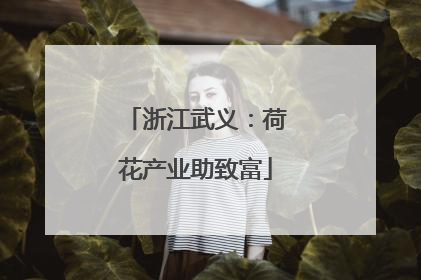 浙江武义：荷花产业助致富