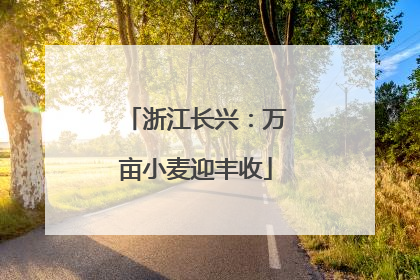 浙江长兴：万亩小麦迎丰收