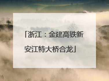 浙江：金建高铁新安江特大桥合龙