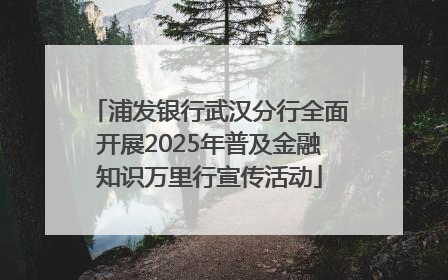 浦发银行武汉分行全面开展2025年普及金融知识万里行宣传活动