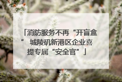 消防服务不再“开盲盒” 城陵矶新港区企业喜提专属“安全官”