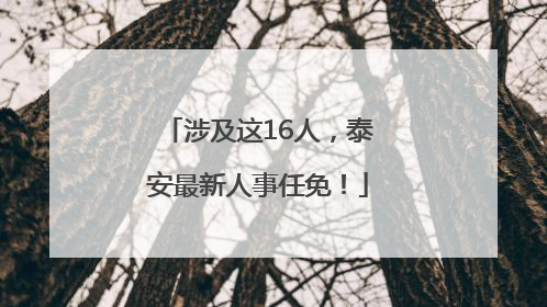 涉及这16人，泰安最新人事任免！