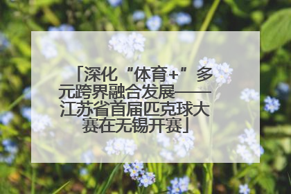 深化“体育+”多元跨界融合发展——江苏省首届匹克球大赛在无锡开赛