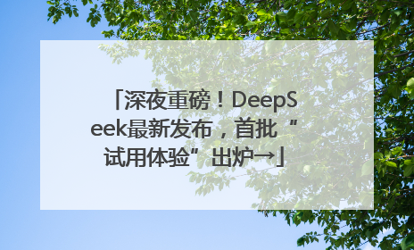 深夜重磅！DeepSeek最新发布，首批“试用体验”出炉→