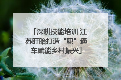 深耕技能培训 江苏盱眙打造“职”通车赋能乡村振兴