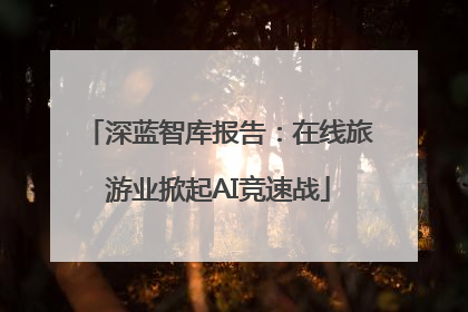 深蓝智库报告：在线旅游业掀起AI竞速战