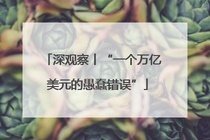 深观察丨“一个万亿美元的愚蠢错误”
