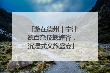 游在德州｜宁津德百杂技蟋蟀谷，沉浸式文旅盛宴