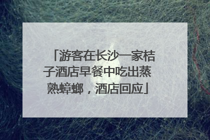 游客在长沙一家桔子酒店早餐中吃出蒸熟蟑螂，酒店回应