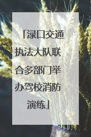 渌口交通执法大队联合多部门举办驾校消防演练