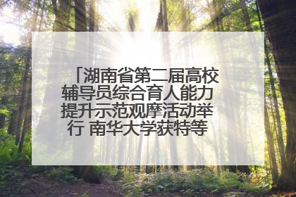 湖南省第二届高校辅导员综合育人能力提升示范观摩活动举行 南华大学获特等奖和一等奖