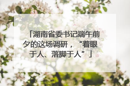 湖南省委书记端午前夕的这场调研，“着眼于人、落脚于人”