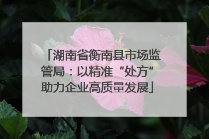 湖南省衡南县市场监管局：以精准“处方”助力企业高质量发展