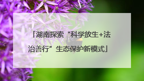 湖南探索“科学放生+法治善行”生态保护新模式