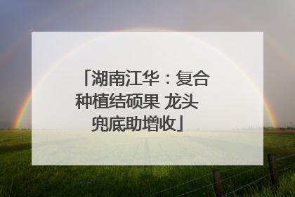 湖南江华：复合种植结硕果 龙头兜底助增收